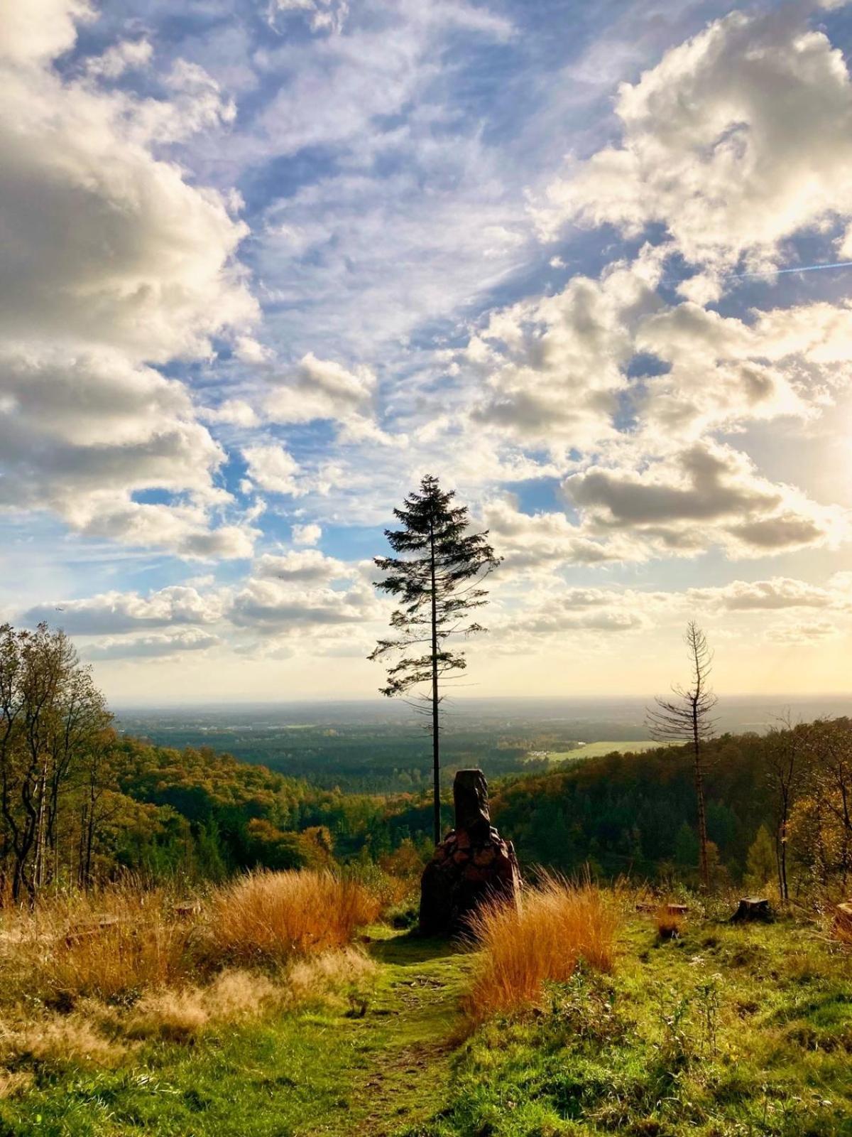 Berggasthof Toensblick Oerlinghausen Dış mekan fotoğraf